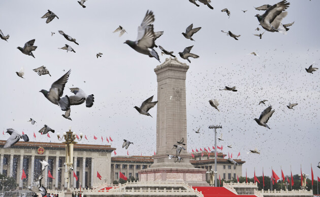 北京普田物流圆满完成中国共产党成立100周年庆祝大会和平鸽放飞保障任务